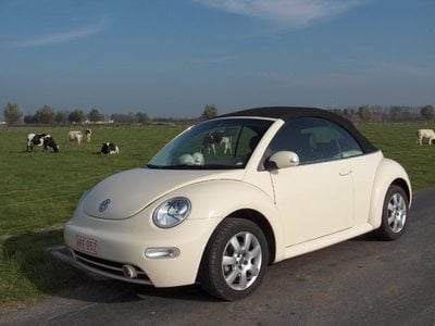 Volkswagen Beetle 5619921